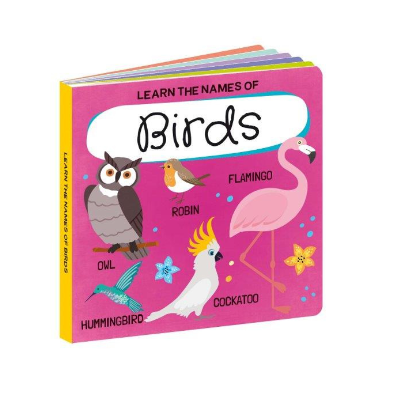 Sassi 3D Puzzle and Book Set - World of Birds, 40 pcs image 2