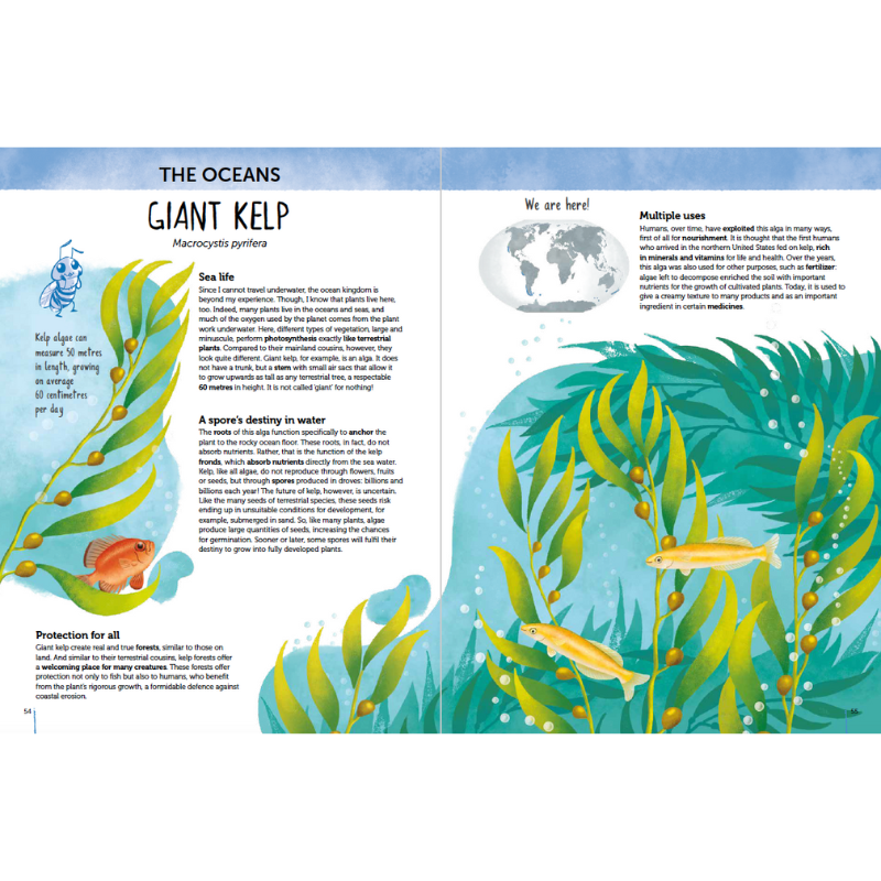 Sassi Atlas of Biodiversity - Flora of the World image 2