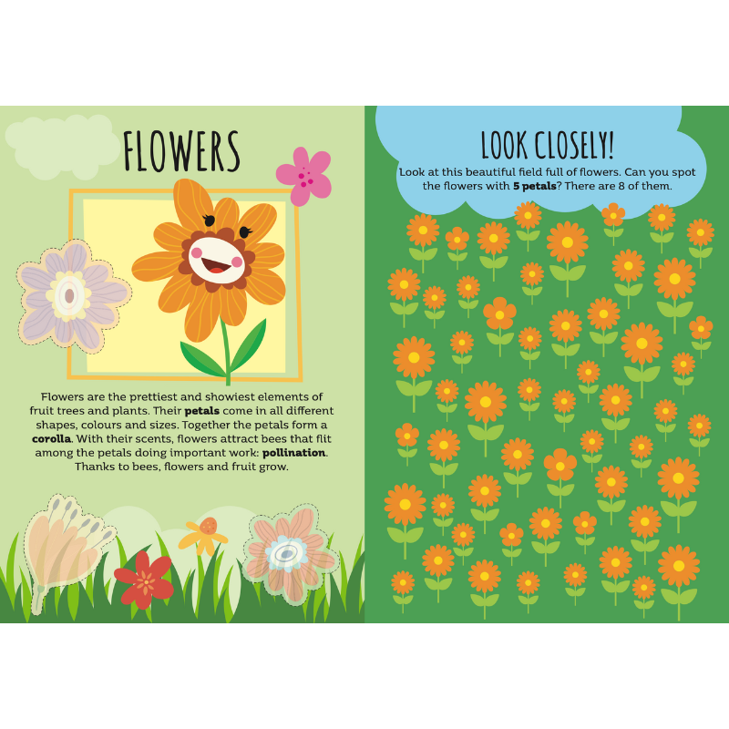 Sassi Stickers and Activities Book - Nature image 2