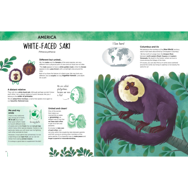 Sassi Atlas of Biodiversity - Curious and Unusual Animals image 2