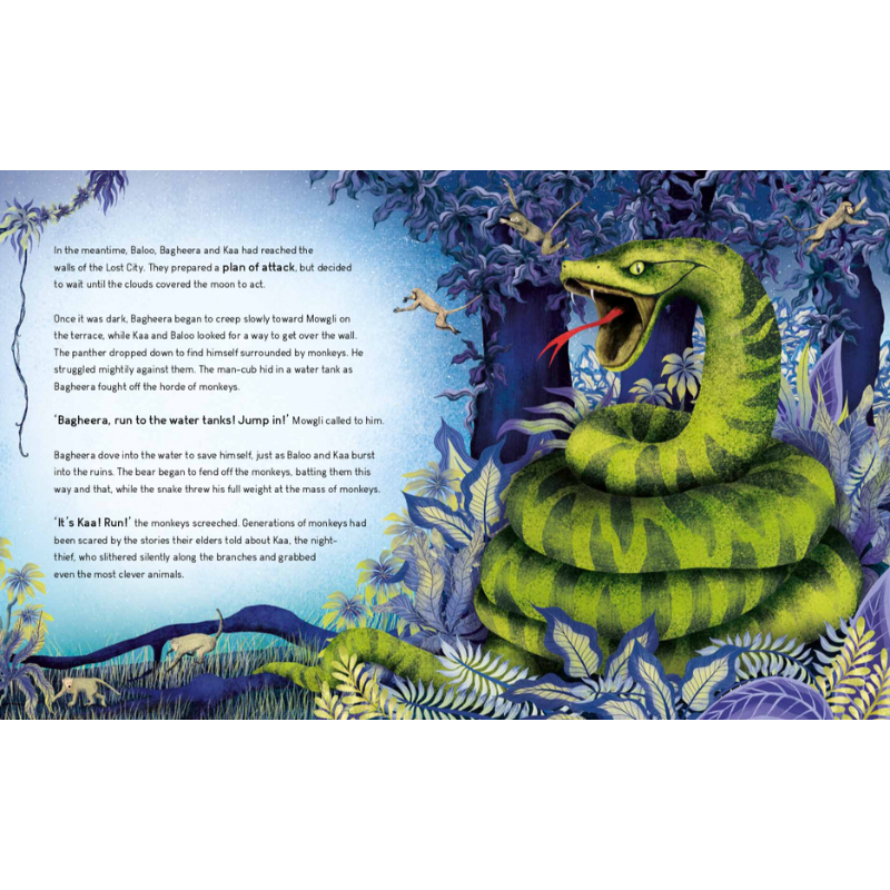 Sassi Story Book - The Jungle Book image 2