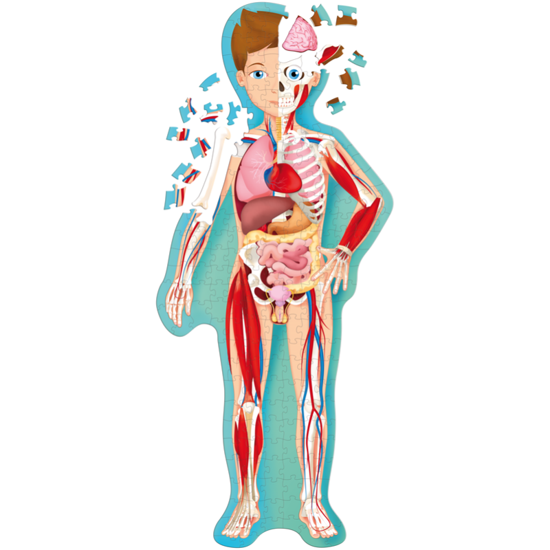 Sassi Travel, Learn and Explore - Puzzle and Book Set - The Human Body, 200 pcs image 2