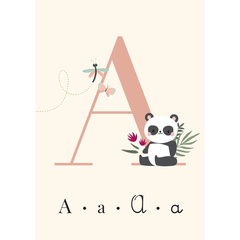 Sassi My First Cards - Alphabet image 2