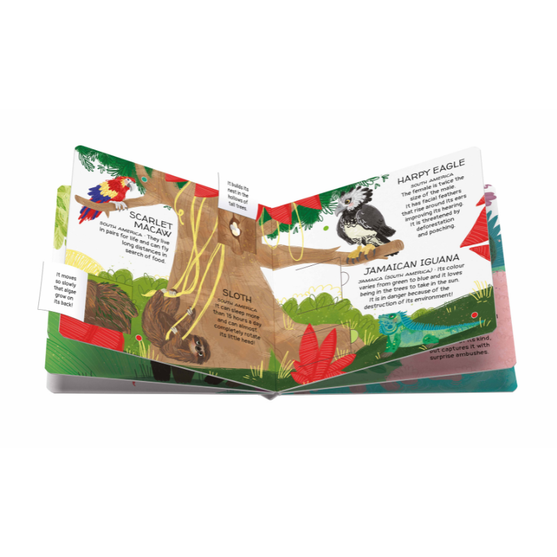 Sassi Games - Memory Matching - Animals to Save - Tropical Forests image 2