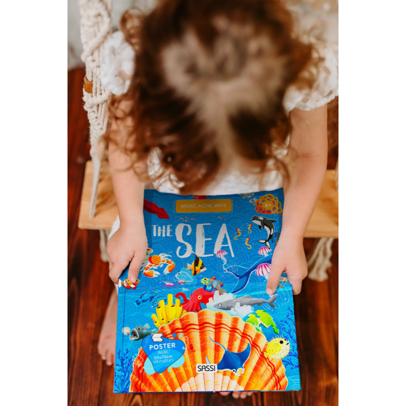 Sassi What How and Why The Sea Book and Poster image 2