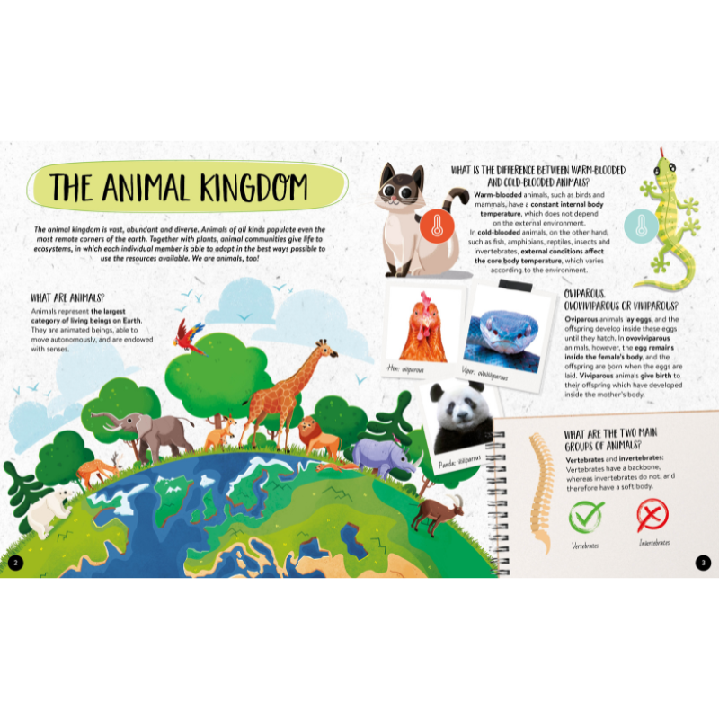 Sassi What How and Why Animals Book and Poster image 2