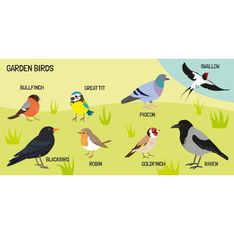 Sassi 3D Puzzle and Book Set - World of Birds, 40 pcs image 3