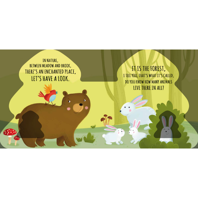 Sassi Shaped Board Book -  Friends of the Forest image 2