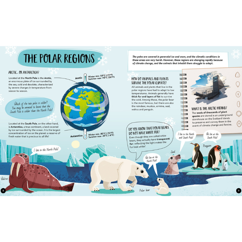 Sassi What How and Why Earth Book and Poster image 2