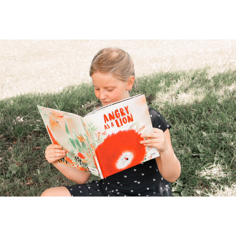 Sassi Big Feelings Books - Angry As A Lion image 2