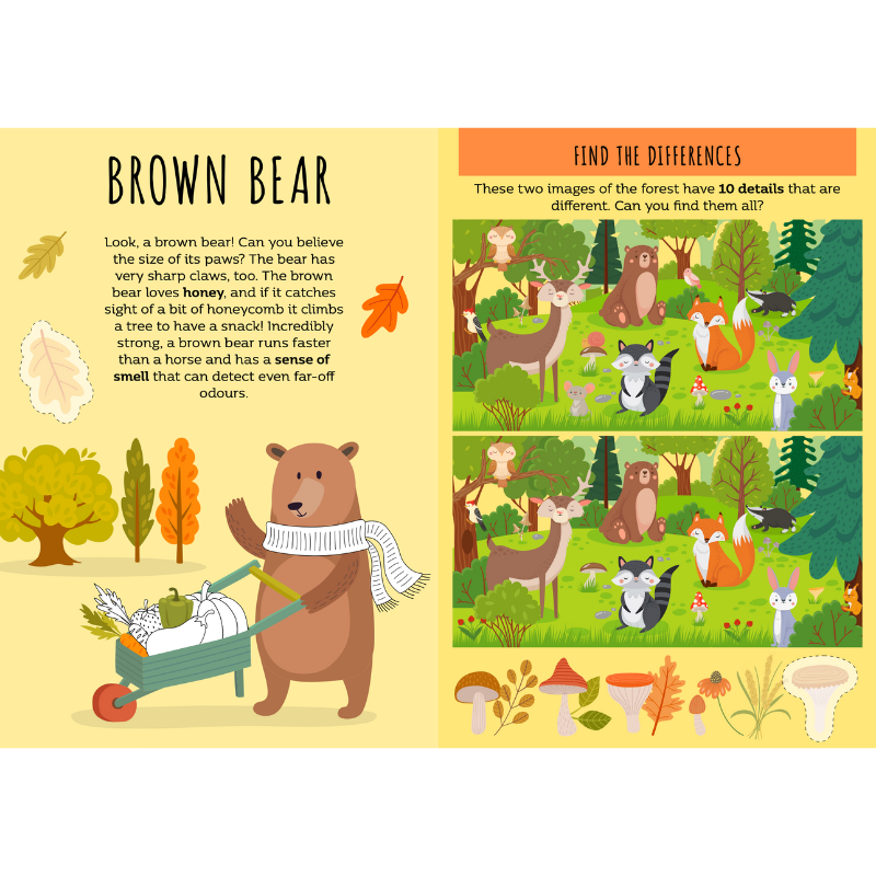 Sassi Stickers and Activities Book - The Forest image 2
