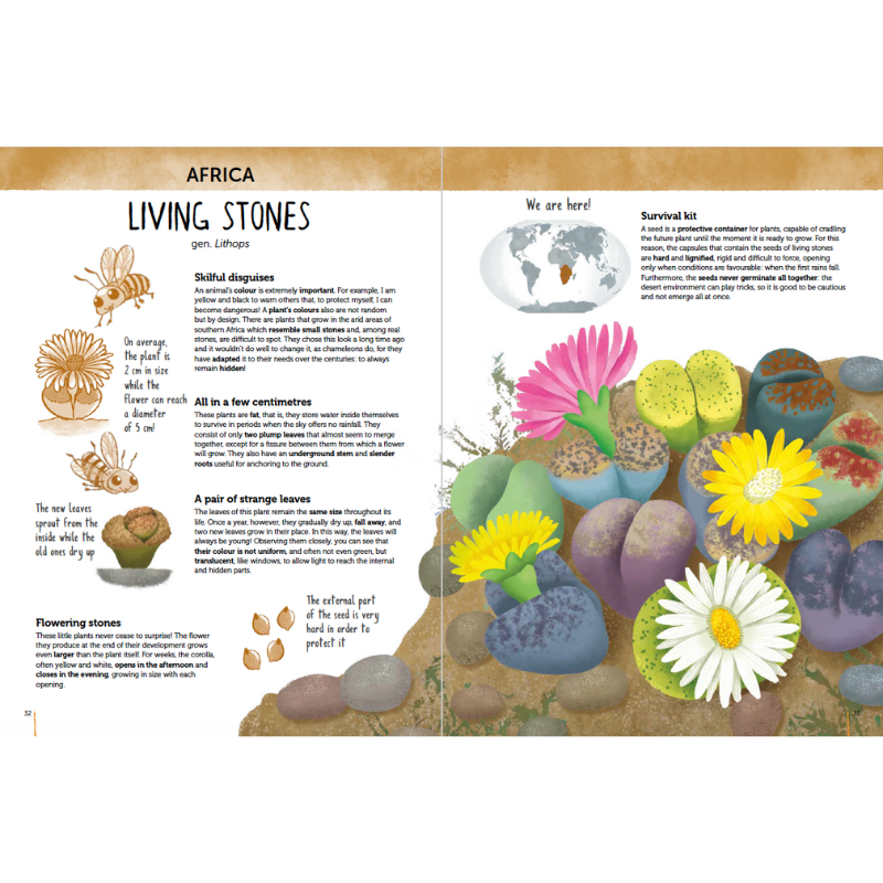 Sassi Atlas of Biodiversity - Flora of the World image 3