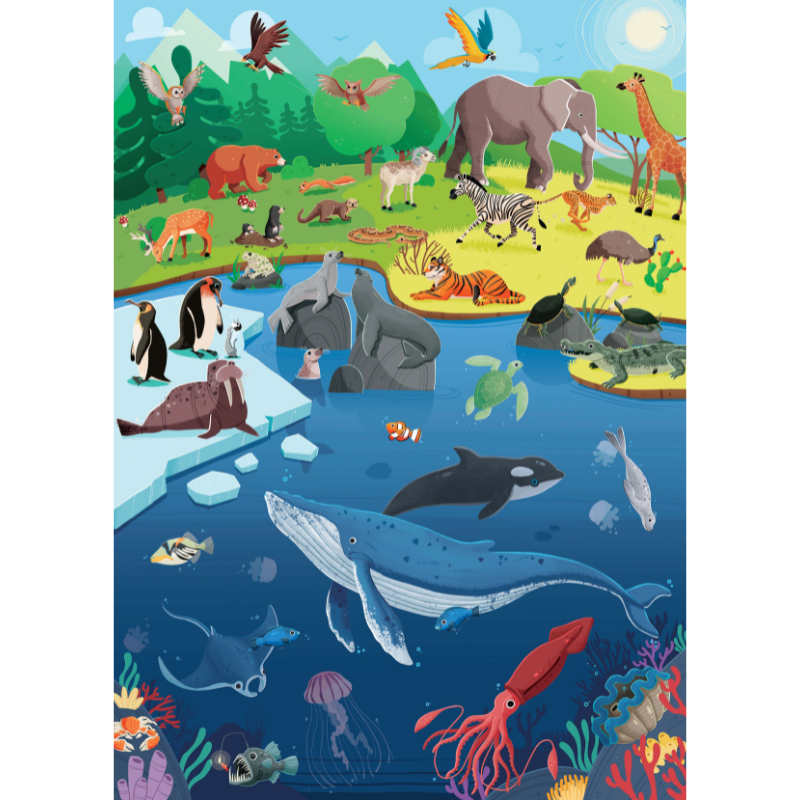 Sassi What How and Why Animals Book and Poster image 3