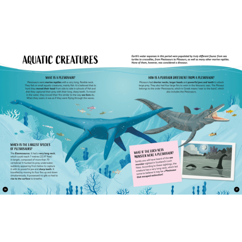 Sassi What How and Why Dinosaurs Book and Poster image 3
