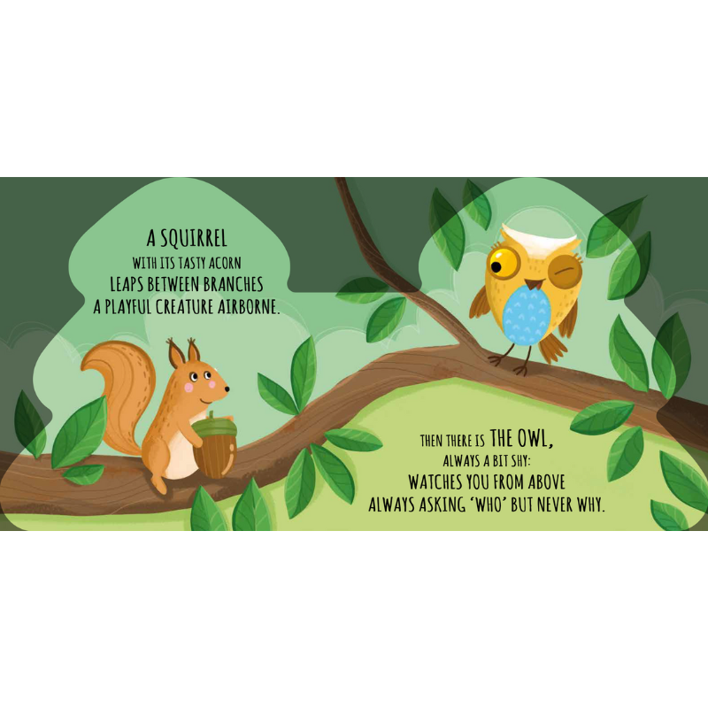 Sassi Shaped Board Book -  Friends of the Forest image 3