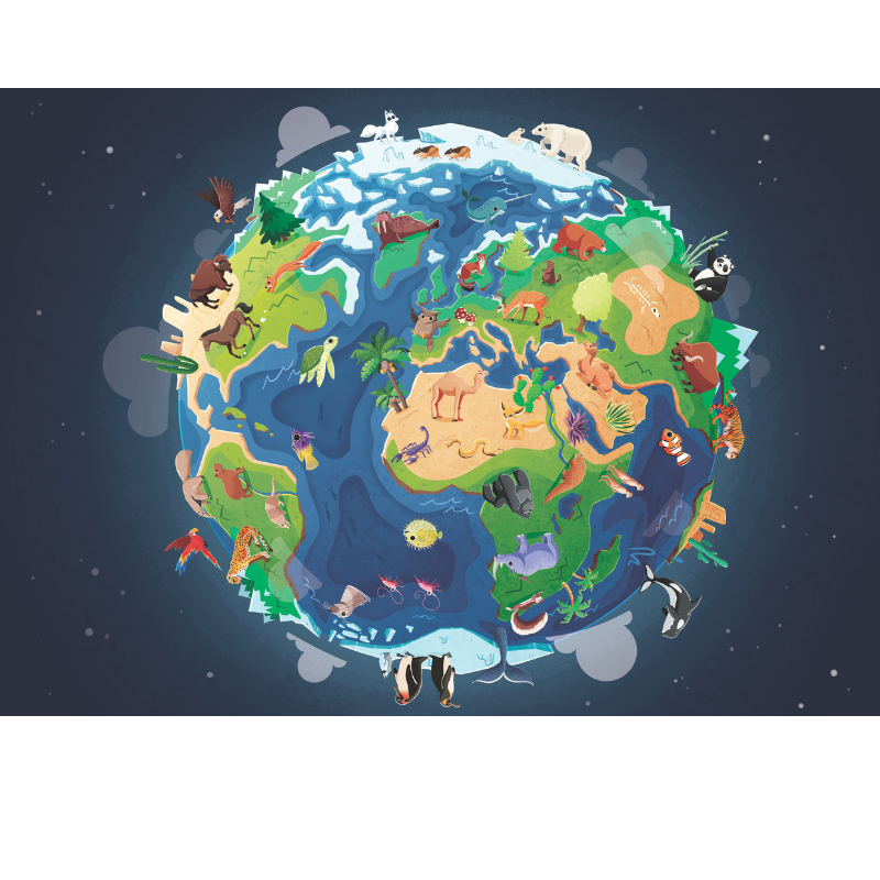 Sassi What How and Why Earth Book and Poster image 3