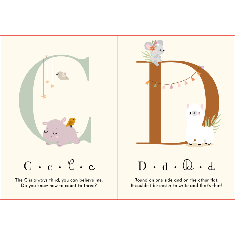Sassi My First Cards - Alphabet image 3