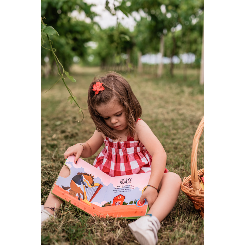 Sassi Sound Book - The Farm image 3