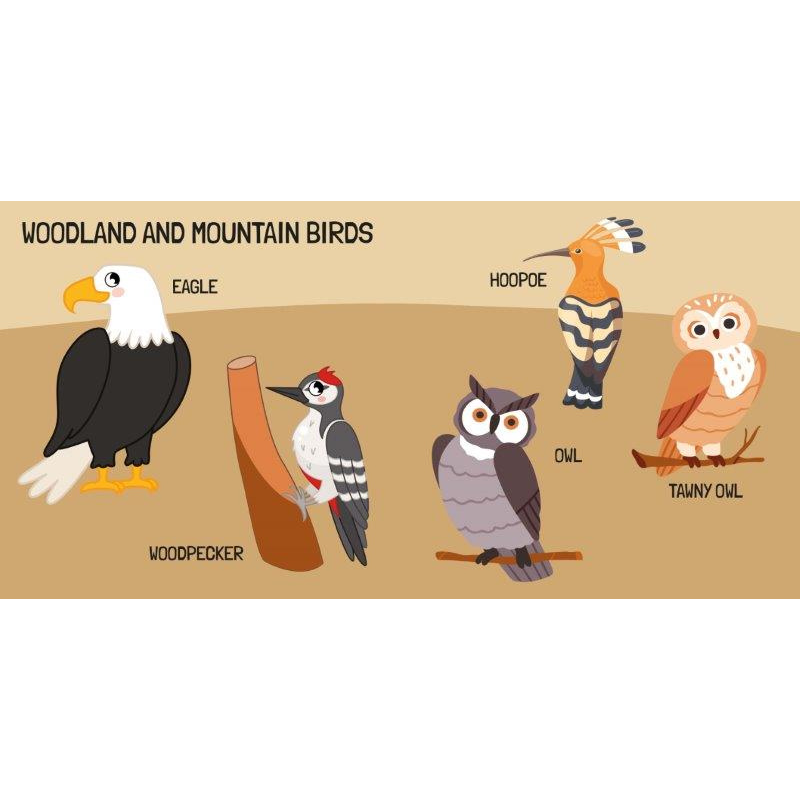 Sassi 3D Puzzle and Book Set - World of Birds, 40 pcs image 4