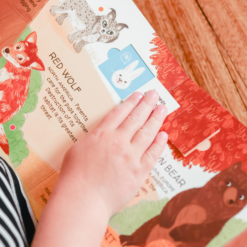 Sassi Games - Memory Matching - Animals to Save The Woods image 3