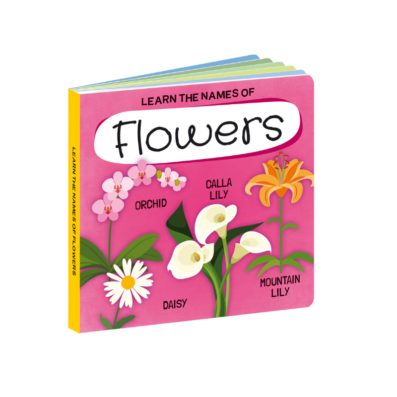 Sassi 3D Puzzle and Book Set - Learn Shapes Flowers, 40 pcs image 4
