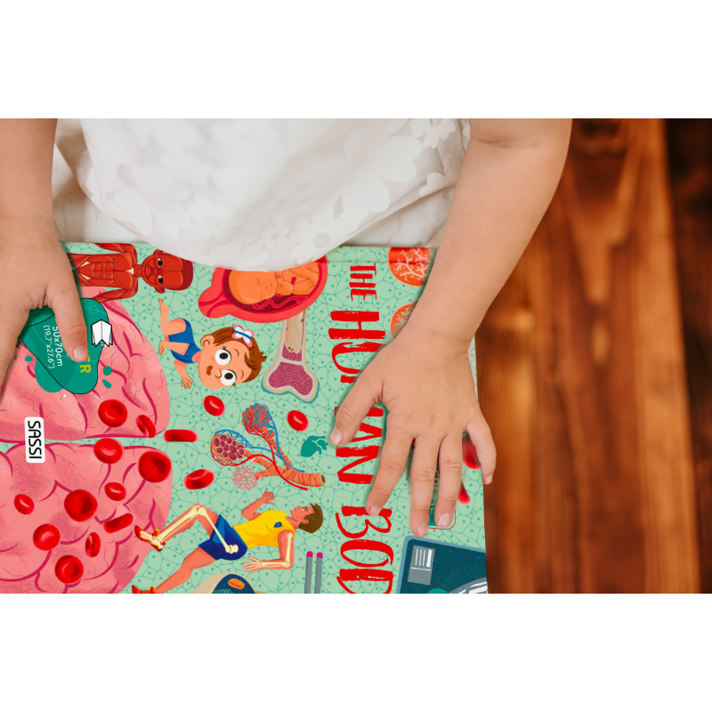 Sassi What How and Why The Human Body Book and Poster image 3
