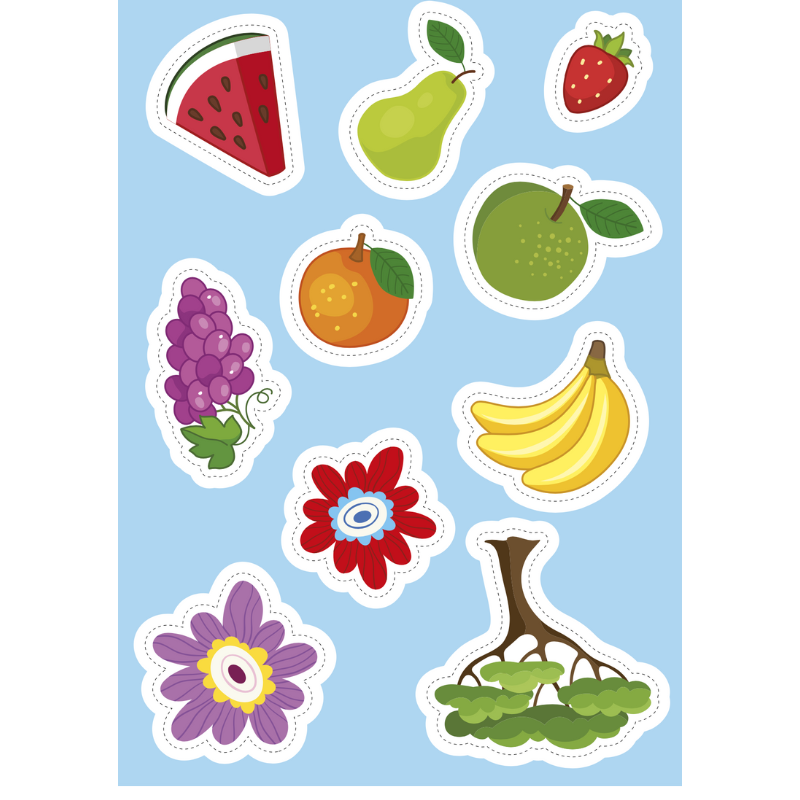 Sassi Stickers and Activities Book - Nature image 3