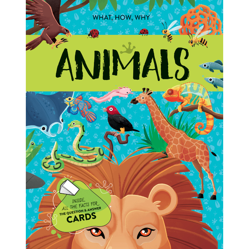 Sassi The Ultimate Atlas and Puzzle Set - Animals 3D Construction image 4