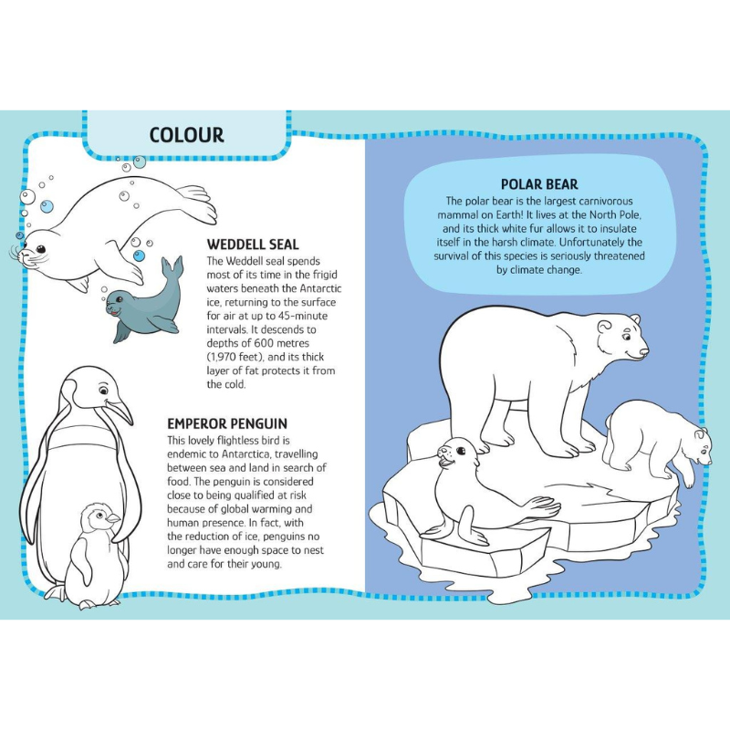 Sassi Arts & Crafts - Animals image 3