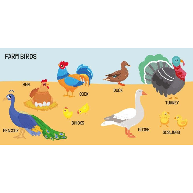 Sassi 3D Puzzle and Book Set - World of Birds, 40 pcs image 5