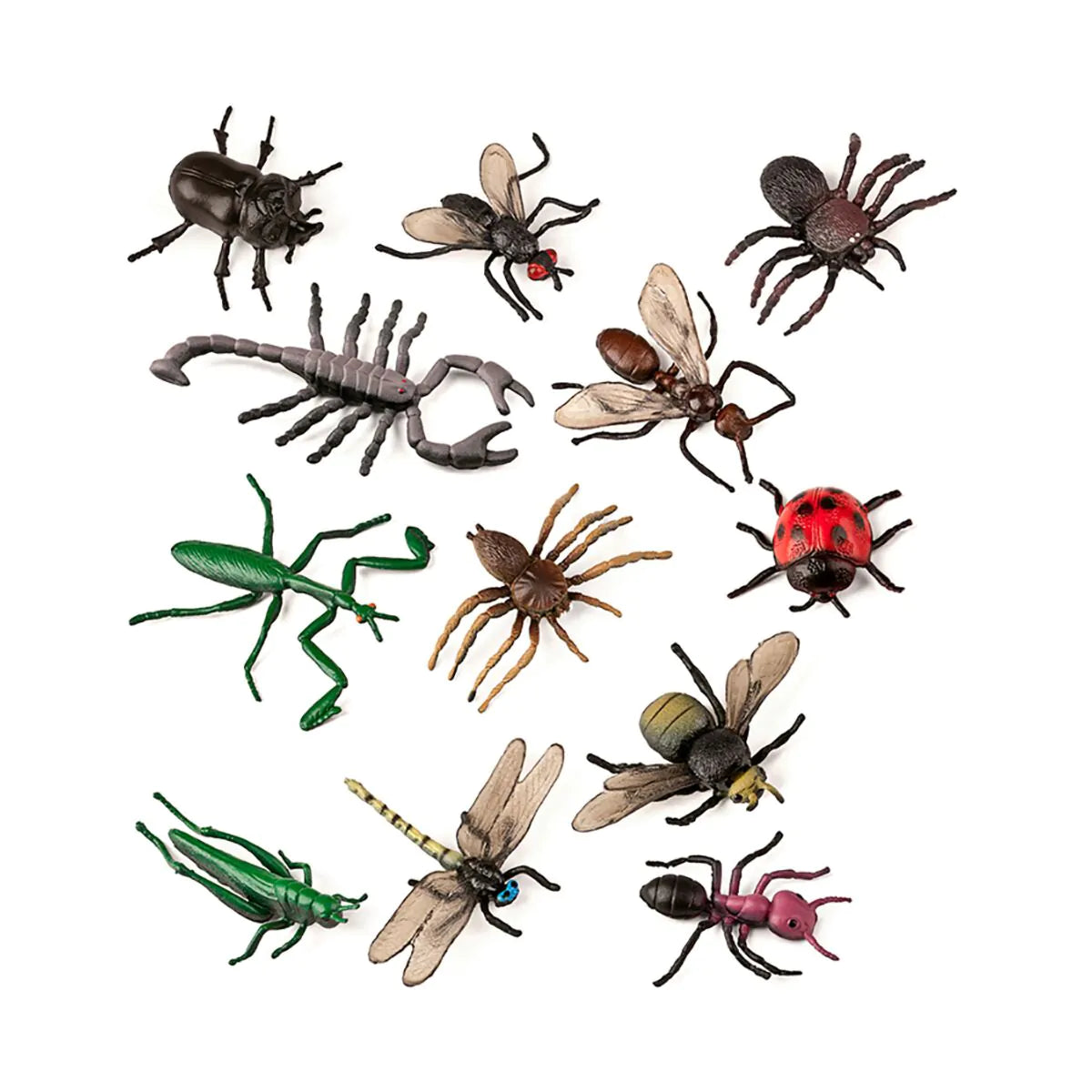 Miniland Insects, 12 pieces in Jar with Didactic Guide