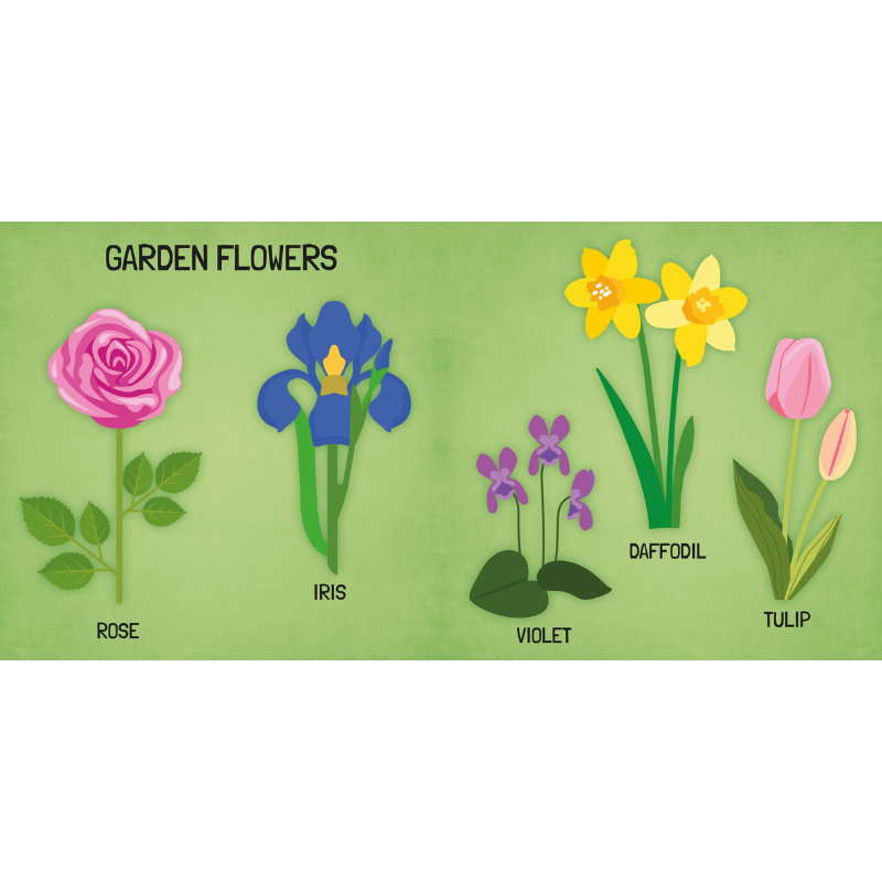 Sassi 3D Puzzle and Book Set - Learn Shapes Flowers, 40 pcs image 6