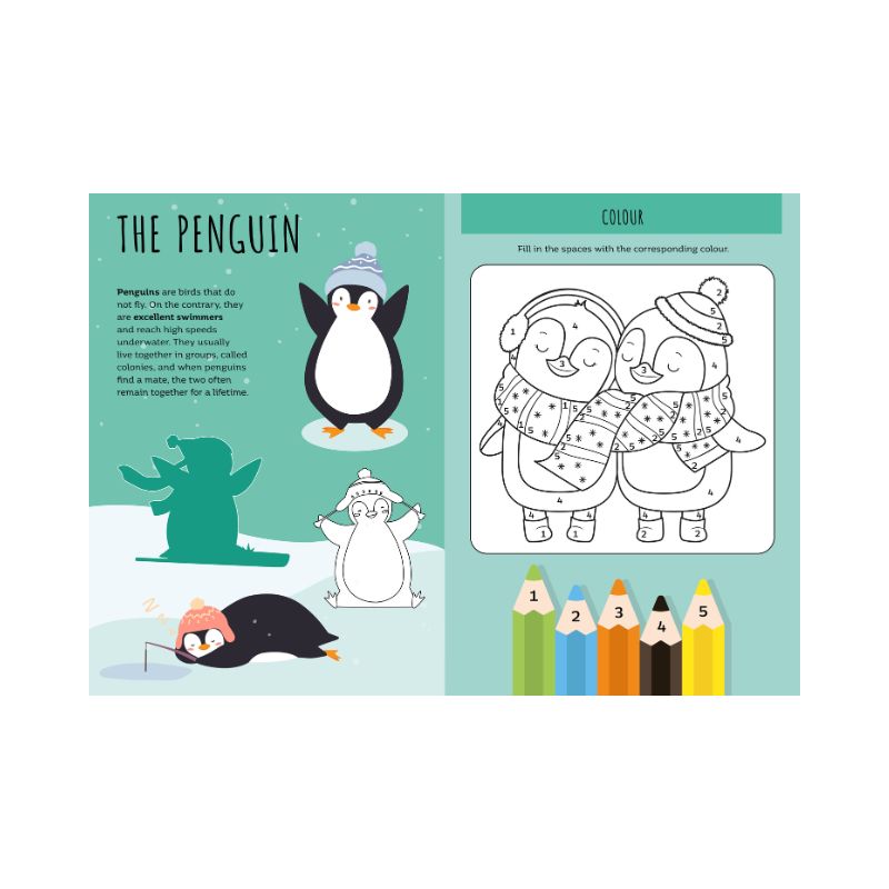 Sassi Stickers and Activities Book - World of Ice image 4