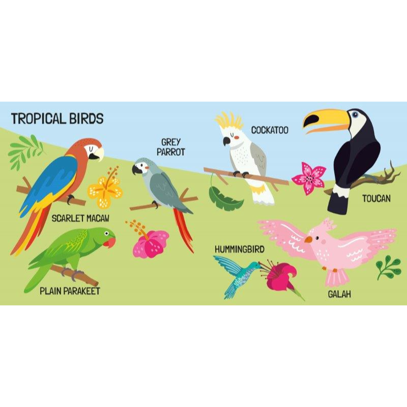 Sassi 3D Puzzle and Book Set - World of Birds, 40 pcs image 6