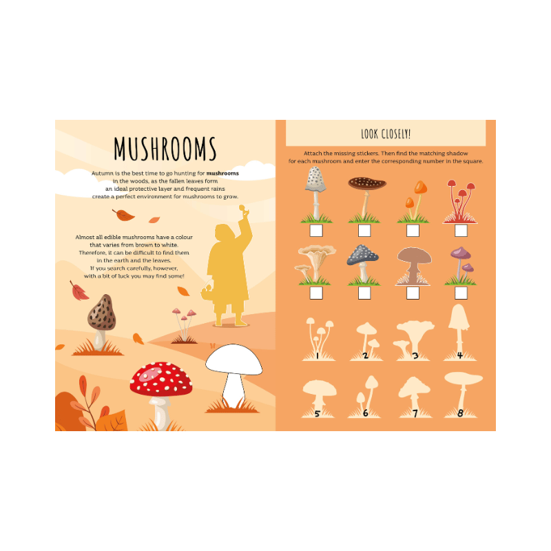 Sassi Stickers and Activities Book - Autumn image 2