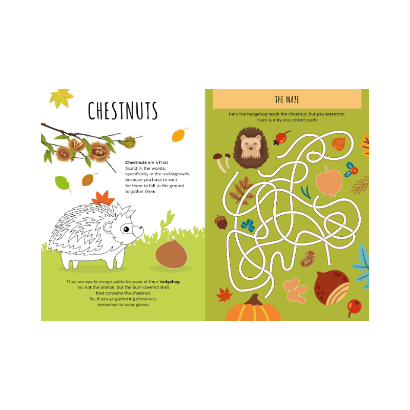 Sassi Stickers and Activities Book - Autumn image 4