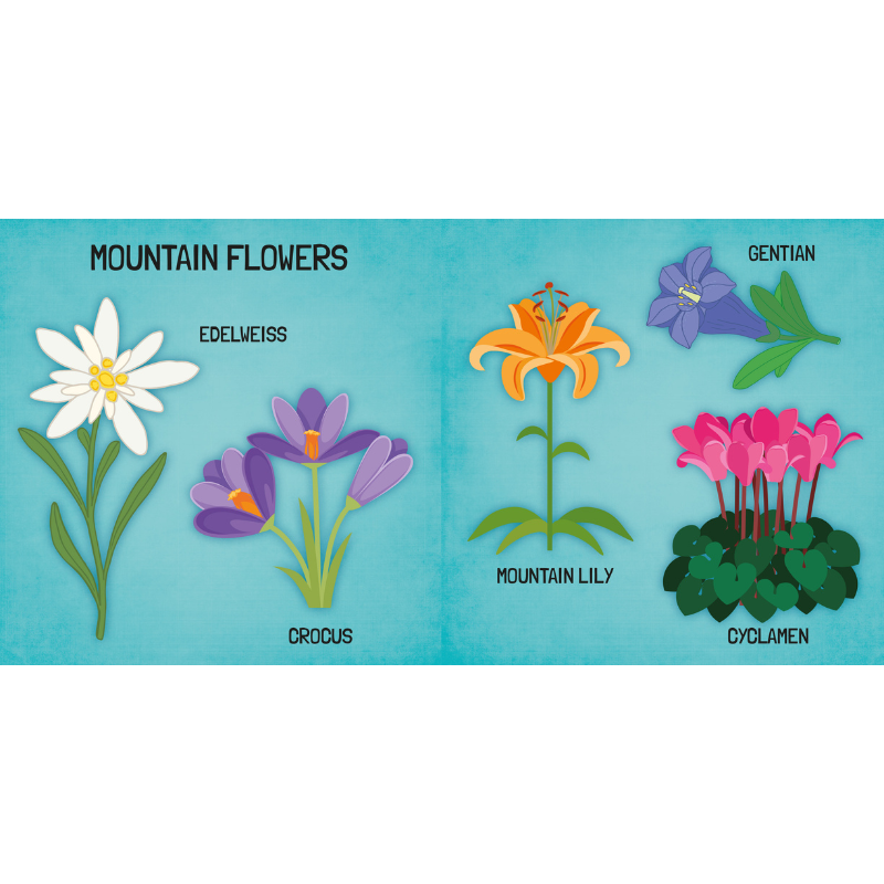 Sassi 3D Puzzle and Book Set - Learn Shapes Flowers, 40 pcs image 7