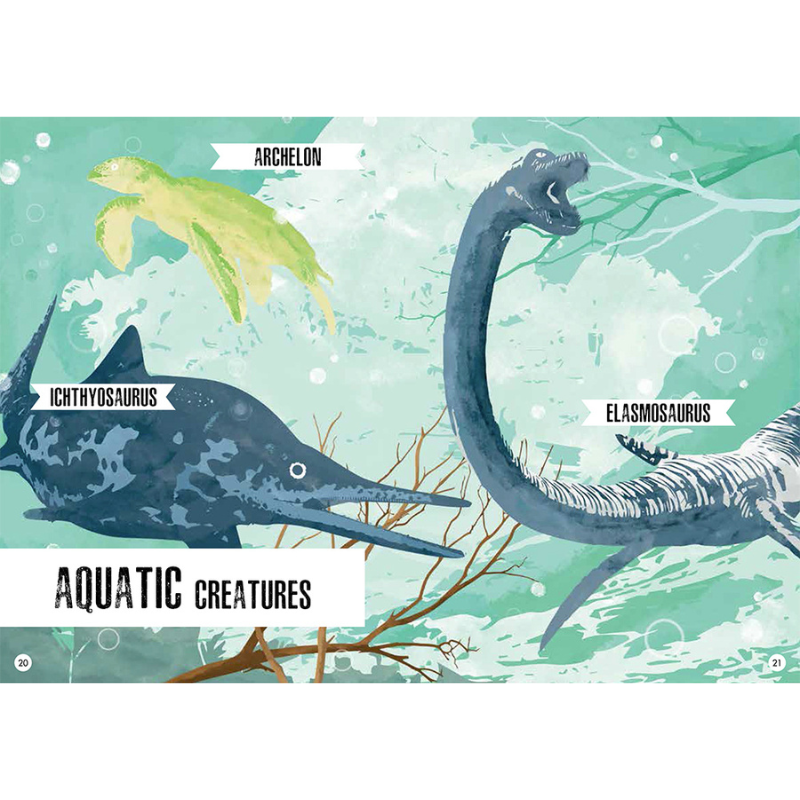 Sassi 3D Assemble and Book - The Age of the Dinosaurs - Stegosaurus image 6