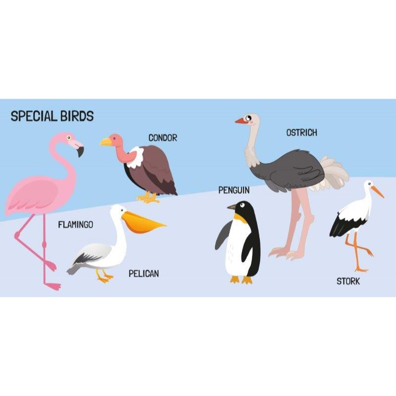 Sassi 3D Puzzle and Book Set - World of Birds, 40 pcs image 7