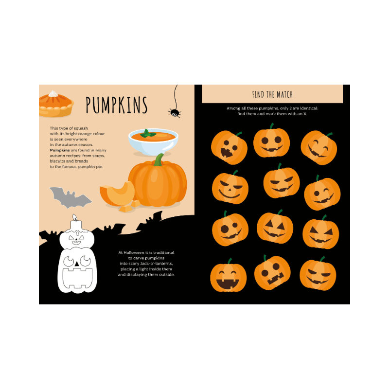 Sassi Stickers and Activities Book - Autumn image 6