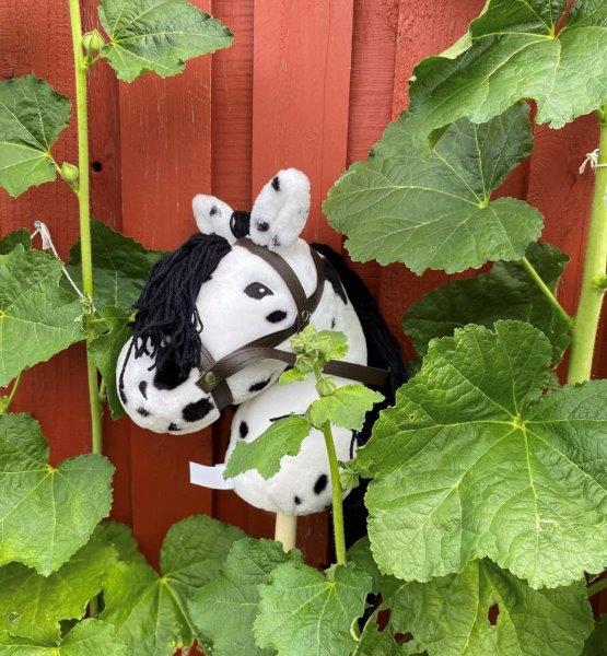 by Astrup Hobby Horse - Piebald, 68 cm image 3