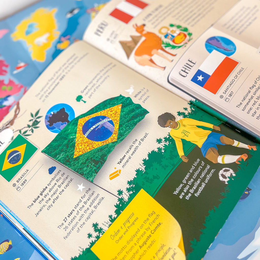 Sassi What How and Why Flags Book and Poster image 2