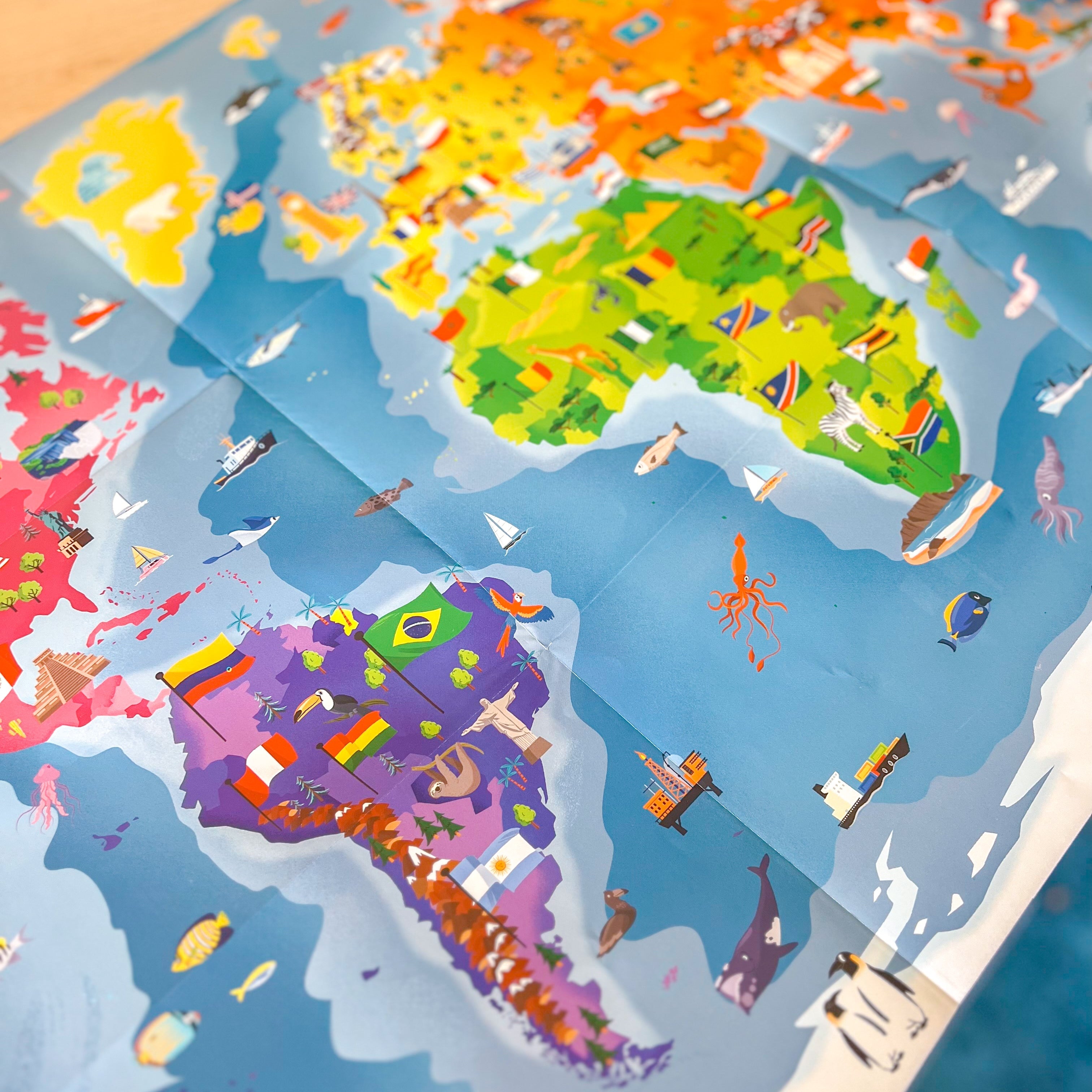 Sassi What How and Why Flags Book and Poster image 3