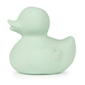 Oli & Carol Small Ducks Monochrome Mint