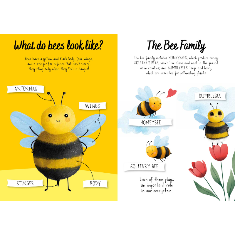 Sassi Magic Water Puzzle & Book Set - Bees image 4