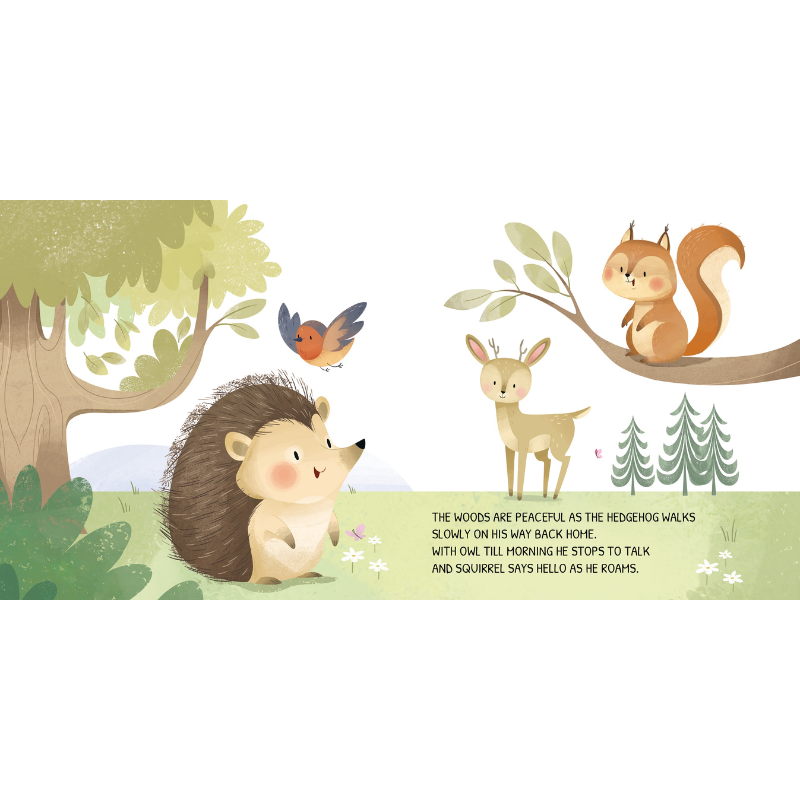 Sassi Board Book - Glow In The Dark - The Woodland image 3