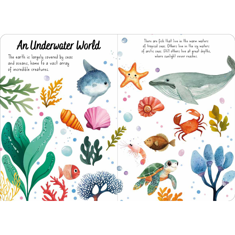 Sassi Magic Water Puzzle & Book Set - The Sea image 3
