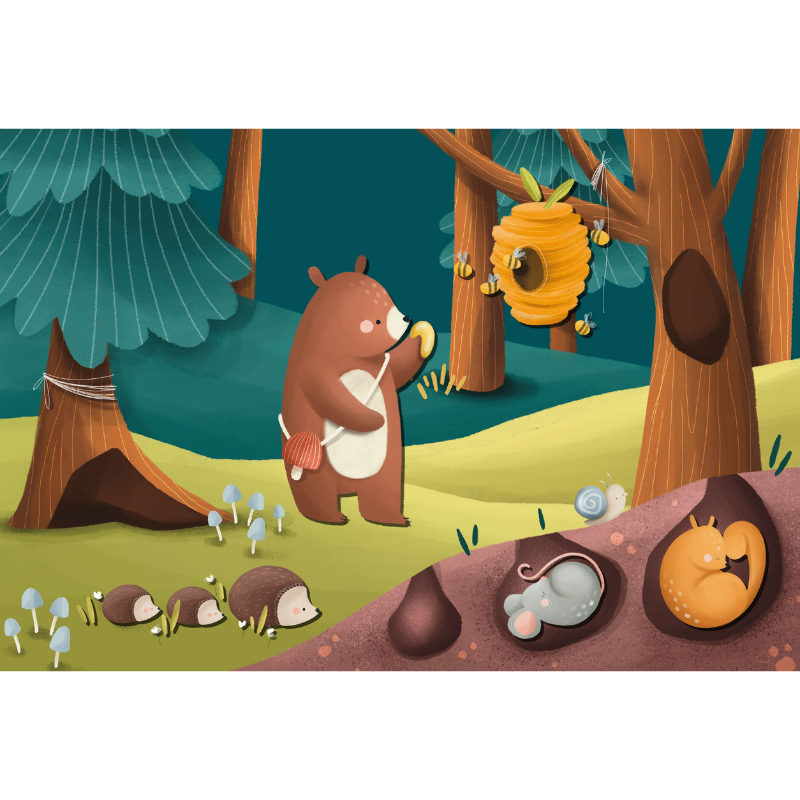Sassi Magnetic Box Set - The Forest image 3