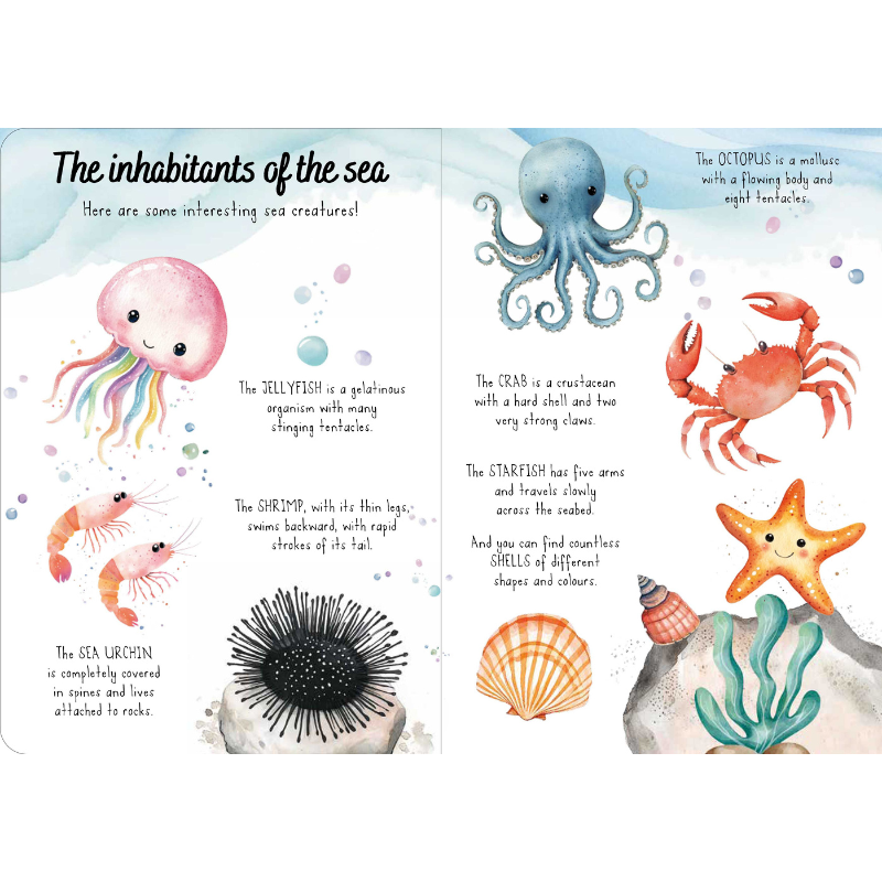 Sassi Magic Water Puzzle & Book Set - The Sea image 4