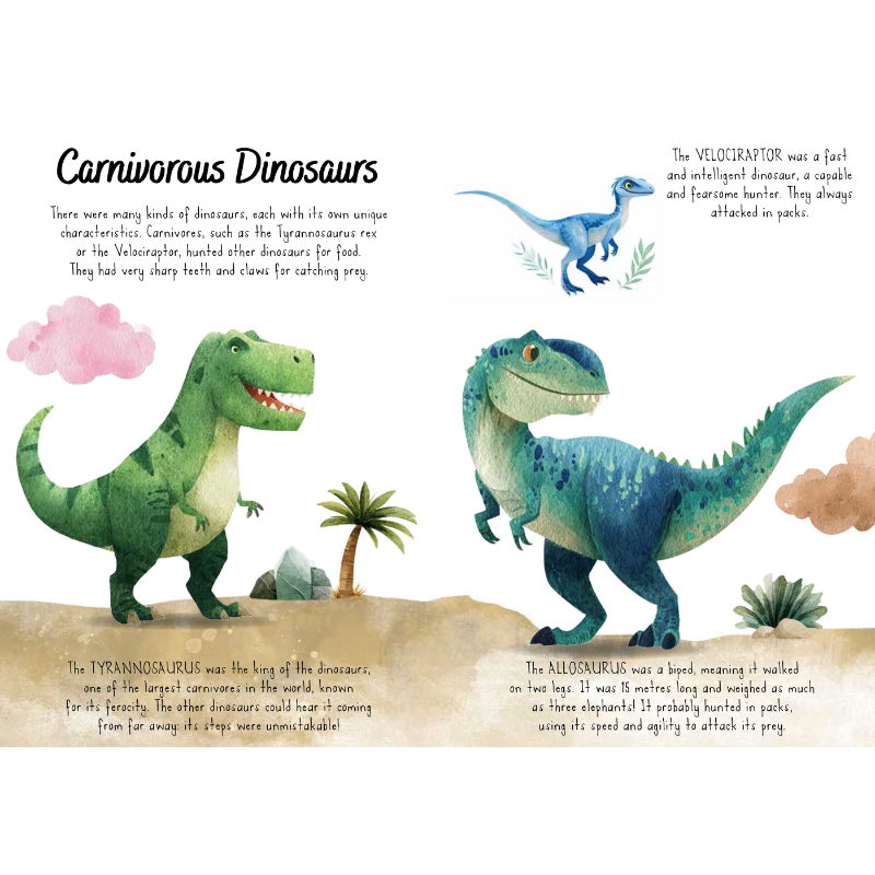 Sassi Magic Water Puzzle & Book Set - Dinosaurs image 4